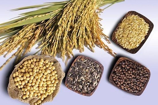Tinh bột tốt cho người ung thư hạch