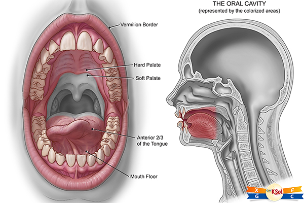 Ung thư miệng có những dấu hiệu nào?