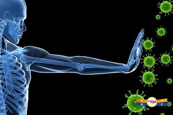 Hệ miễn dịch khi được nâng cao có khả năng loại bỏ tế bào ung thư