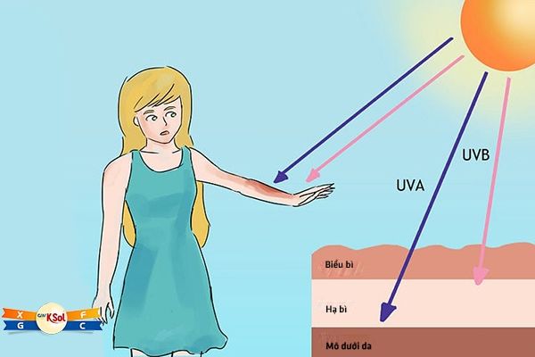 UV có 2 loại là UVA và UVB