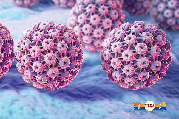 HPV là nguyên nhân chủ yếu gây ra ung thư cổ tử cung