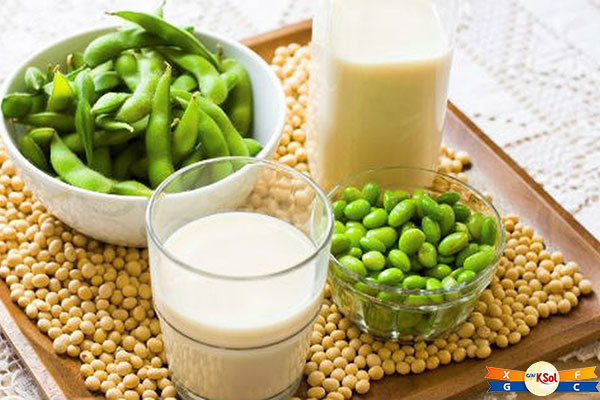 Đậu nành phòng ngừa ung thư vú