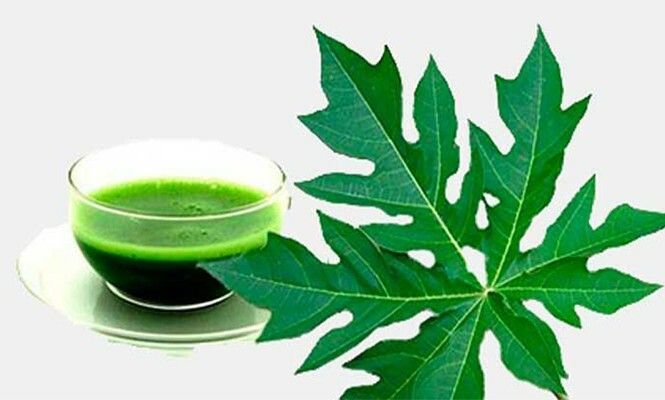 Vì tin những lời đồn thổi, nhiều bệnh nhân nguy kịch chữa ung thư thuốc nam.