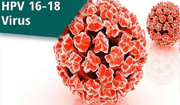 Virus HPV 16, HPV 18 là 2 tuýp HPV gây ung thư cổ tử cung phổ biến nhất hiện nay