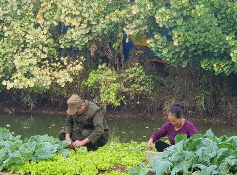 Vợ chồng ông Vũ Ngọc Tinh