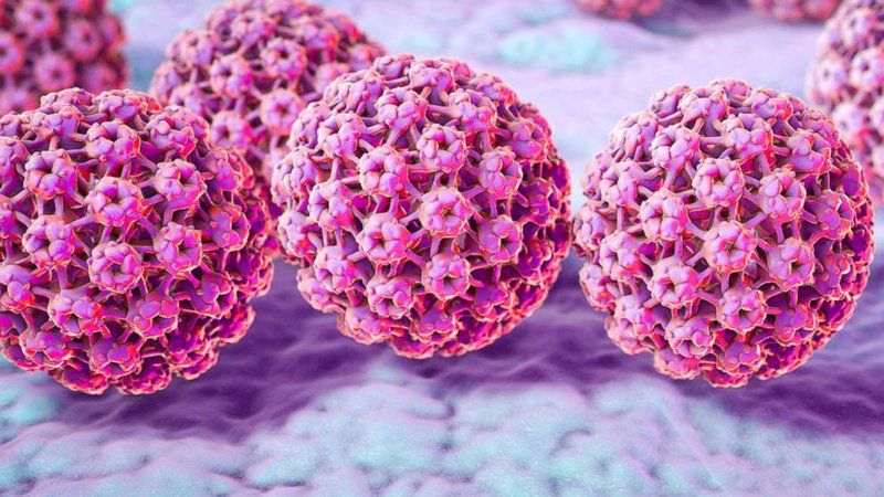Virus HPV là nguyên nhân chính gây nên ung thư cổ tử cung và nhiều bệnh lý phụ khoa khác