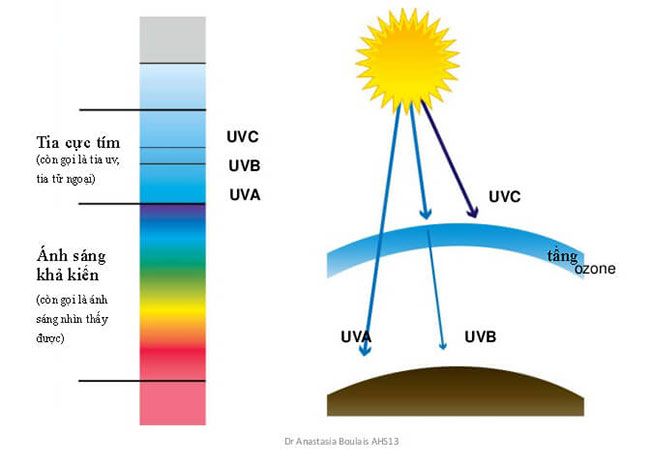 Tia Uv Là Gì?Những Ảnh Hưởng Của Chỉ Số Tia Uv Đến Sức Khỏe