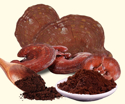 suy-than-co-uong-duoc-nam-linh-chi-khong